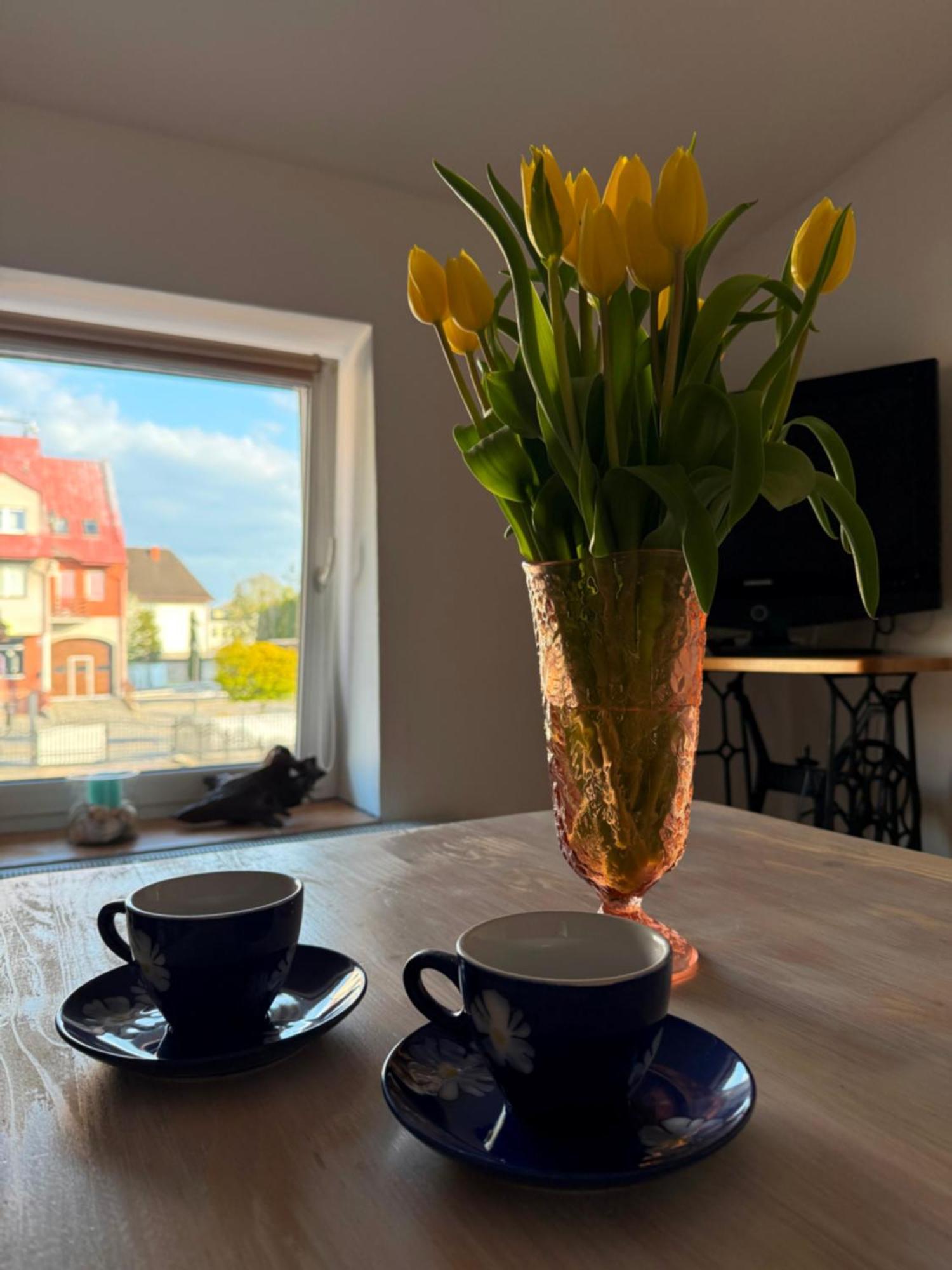 Studio Dwupokojowe Z Lazienka I Kuchnia Augustów Exteriér fotografie